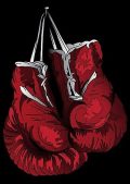 BOXING GROUP